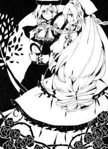 Rating: Safe Score: 0 Tags: 2girls capelet dress flower greyscale hat image long_hair monochrome multiple_girls pair petals rose short_hair souseiseki suiseiseki thorns veil User: admin