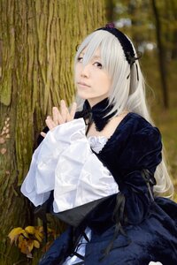 Rating: Safe Score: 0 Tags: 1girl bangs black_ribbon closed_mouth detached_collar dress flower frills hairband long_hair long_sleeves outdoors puffy_sleeves red_eyes ribbon silver_hair solo suigintou very_long_hair User: admin