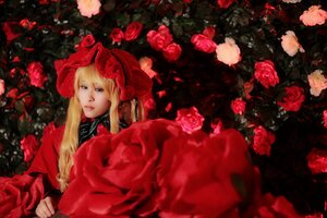 Rating: Safe Score: 0 Tags: 1girl blonde_hair blue_eyes dress flower lips long_hair long_sleeves looking_at_viewer red_dress red_flower red_rose rose shinku solo User: admin