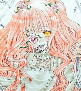 Rating: Safe Score: 0 Tags: 1girl feathers flower image kirakishou leaf long_hair pink_flower pink_hair pink_rose rose solo thorns traditional_media white_flower white_rose yellow_eyes User: admin