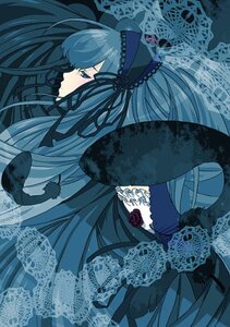 Rating: Safe Score: 0 Tags: 1girl black_ribbon blue_flower dress flower frills hairband image lace long_hair profile ribbon rose solo suigintou very_long_hair User: admin