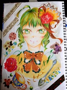 Rating: Safe Score: 0 Tags: 1girl ahoge flower green_eyes green_hair image kanaria looking_at_viewer marker_(medium) red_flower red_rose rose shikishi short_hair smile solo traditional_media User: admin