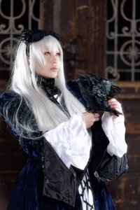 Rating: Safe Score: 0 Tags: 1girl bangs bird blurry blurry_background closed_mouth depth_of_field dress feathers hairband half-closed_eyes holding indoors long_hair long_sleeves solo standing suigintou white_hair User: admin