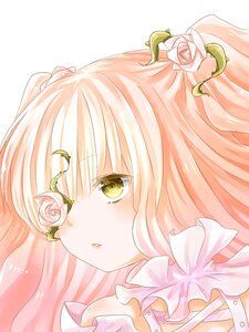 Rating: Safe Score: 0 Tags: 1girl choker flower hair_ornament image kirakishou leaf long_hair pink_flower pink_hair pink_rose red_rose rose solo white_flower white_rose yellow_eyes yellow_rose User: admin