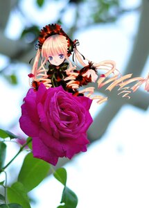 Rating: Safe Score: 0 Tags: 1girl blonde_hair blue_eyes blurry blurry_background blurry_foreground bow depth_of_field dress drill_hair flower image long_hair long_sleeves looking_at_viewer motion_blur photo red_dress rose shinku solo twintails very_long_hair User: admin