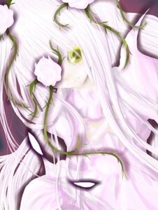 Rating: Safe Score: 0 Tags: 1girl flower image kirakishou long_hair looking_at_viewer solo striped white_hair yellow_eyes User: admin