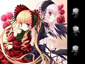 Rating: Safe Score: 0 Tags: 2girls blonde_hair blue_eyes cup dress drill_hair flower hairband image long_hair long_sleeves looking_at_viewer multiple_girls pair pink_rose red_flower red_rose rose shinku silver_hair suigintou teacup white_rose wings User: admin