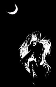 Rating: Safe Score: 0 Tags: 1girl crescent crescent_moon greyscale image long_hair long_sleeves monochrome moon solo suigintou thighhighs very_long_hair wings User: admin