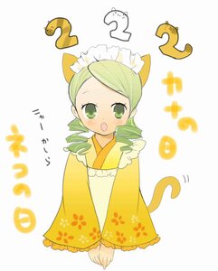 Rating: Safe Score: 0 Tags: 1girl ? animal_ears blush drill_hair full_body green_eyes green_hair image japanese_clothes kanaria kimono long_sleeves open_mouth smile solo striped tail twin_drills wide_sleeves User: admin