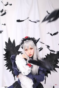 Rating: Safe Score: 0 Tags: 1girl bat bird black_feathers blurry crow dove feathers flock flower gothic_lolita lips lolita_fashion long_hair long_sleeves motion_blur red_eyes seagull solo suigintou User: admin