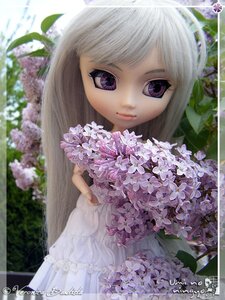 Rating: Safe Score: 0 Tags: 1girl artist_name blurry bouquet closed_mouth dated depth_of_field doll flower holding hydrangea lips long_hair looking_at_viewer purple_eyes purple_flower smile solo suigintou watermark white_hair User: admin