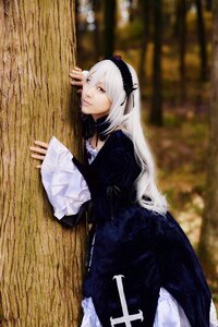 Rating: Safe Score: 0 Tags: 1girl black_dress blurry blurry_background closed_mouth depth_of_field detached_collar dress flower frilled_sleeves frills hairband long_hair long_sleeves lying on_side silver_hair solo suigintou very_long_hair User: admin