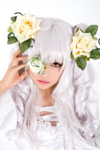 Rating: Safe Score: 0 Tags: 1girl bangs closed_mouth flower hair_ornament hand_up kirakishou lips long_hair looking_at_viewer one_eye_covered rose solo striped white_flower white_hair white_rose User: admin