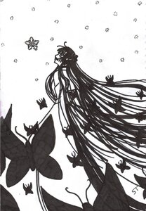 Rating: Safe Score: 0 Tags: 1girl bug butterfly dress greyscale image insect long_hair monochrome solo suigintou very_long_hair User: admin