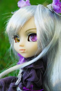 Rating: Safe Score: 0 Tags: 1girl bangs barasuishou bow closed_mouth doll flower hair_ornament heterochromia lips long_hair looking_at_viewer purple_eyes ribbon silver_hair solo User: admin