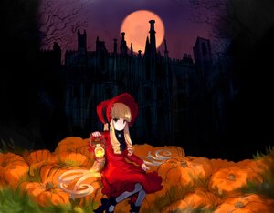 Rating: Safe Score: 0 Tags: 1girl blonde_hair blue_eyes bonnet dress flower full_moon hood image long_hair moon night outdoors red_dress shinku sitting solo tree User: admin