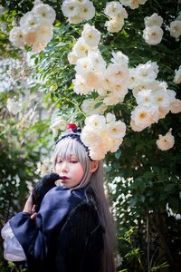 Rating: Safe Score: 0 Tags: 1girl bangs blurry closed_eyes depth_of_field dress flower lips long_hair long_sleeves outdoors realistic solo suigintou white_flower white_rose User: admin