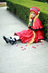 Rating: Safe Score: 0 Tags: 1girl blonde_hair blue_eyes bonnet dress hat long_hair petals photo pink_dress shinku shoes sitting smile solo User: admin