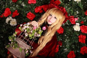 Rating: Safe Score: 0 Tags: 1girl blonde_hair blue_eyes dress flower lips long_hair looking_at_viewer pink_rose red_flower red_rose rose shinku solo thorns User: admin