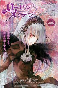 Rating: Safe Score: 0 Tags: 1girl detached_collar dress flower frills hairband image juliet_sleeves lolita_hairband long_hair long_sleeves looking_at_viewer puffy_sleeves red_eyes ribbon silver_hair solo suigintou wings User: admin