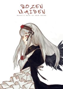 Rating: Safe Score: 0 Tags: 1girl black_wings dress flower frills from_side hairband image juliet_sleeves long_hair long_sleeves puffy_sleeves rose silver_hair simple_background solo suigintou white_background wings User: admin