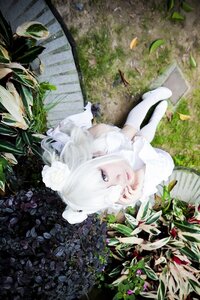 Rating: Safe Score: 0 Tags: 1girl alpaca_ears animal_ears bangs day dress from_above hair_over_one_eye kirakishou leaf long_sleeves looking_at_viewer outdoors plant solo white_dress white_hair User: admin