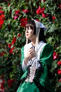 Rating: Safe Score: 0 Tags: 1boy black_hair blurry blurry_background blurry_foreground closed_eyes depth_of_field dress flower green_dress hood long_sleeves red_flower red_rose rose solo suiseiseki User: admin