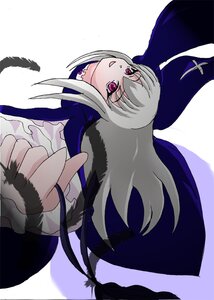 Rating: Safe Score: 0 Tags: 1girl dress feathers image long_hair long_sleeves looking_at_viewer pink_eyes solo suigintou User: admin