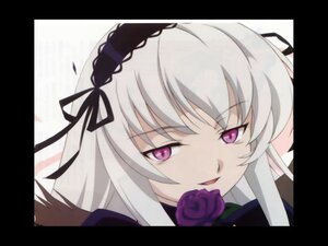 Rating: Safe Score: 0 Tags: 1girl anime_coloring black_border black_ribbon border circle_cut close-up flower hairband image letterboxed long_hair looking_at_viewer pillarboxed pink_rose purple_eyes purple_flower purple_rose red_rose ribbon rose silver_hair solo suigintou windowboxed User: admin