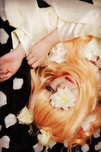 Rating: Safe Score: 0 Tags: 1girl bangs blonde_hair dress flower hair_flower hair_ornament kirakishou lips long_sleeves looking_at_viewer solo white_flower white_rose User: admin