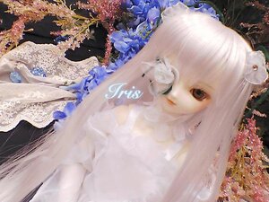 Rating: Safe Score: 0 Tags: 1girl animal doll flower kirakishou solo User: admin