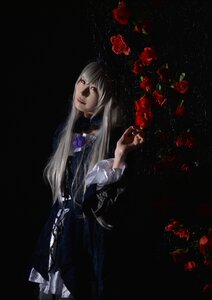 Rating: Safe Score: 0 Tags: 1girl black_background black_dress dress flower lips long_hair long_sleeves red_eyes red_flower red_rose rose solo suigintou User: admin