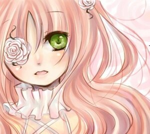 Rating: Safe Score: 0 Tags: 1girl blush flower green_eyes hair_flower hair_ornament image kirakishou long_hair looking_at_viewer open_mouth pink_hair pink_rose rose simple_background smile solo white_flower white_rose User: admin