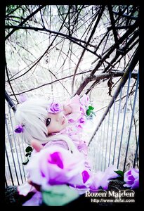 Rating: Safe Score: 0 Tags: 1girl auto_tagged barasuishou black_border blurry depth_of_field dress flower letterboxed long_hair purple_eyes purple_flower rose solo white_hair User: admin