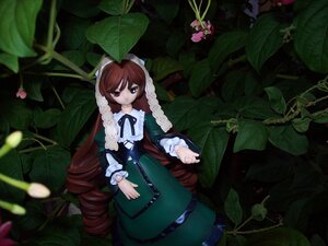 Rating: Safe Score: 0 Tags: 1girl brown_hair doll dress expressionless flower frills green_dress long_hair long_sleeves looking_at_viewer plant red_eyes solo suiseiseki very_long_hair vines User: admin