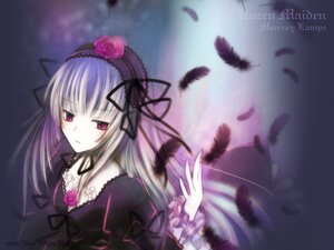 Rating: Safe Score: 0 Tags: 1girl artist_name bird black_feathers black_wings dove dress feathered_wings feathers flower frills hairband image lolita_fashion lolita_hairband long_hair long_sleeves looking_at_viewer ribbon rose silver_hair solo suigintou upper_body watermark white_feathers wings User: admin