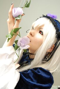 Rating: Safe Score: 0 Tags: 1girl bangs blurry blurry_background blurry_foreground choker depth_of_field eyelashes flower hairband holding lips profile red_eyes solo suigintou white_hair User: admin