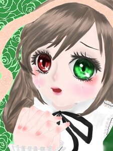 Rating: Safe Score: 0 Tags: 1girl blush brown_hair flower green_eyes image long_hair looking_at_viewer red_eyes rose solo suiseiseki tears User: admin