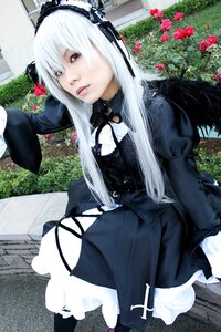 Rating: Safe Score: 0 Tags: 1girl dress flower gothic_lolita grass lolita_fashion long_hair long_sleeves outdoors red_flower red_rose rose silver_hair solo suigintou User: admin