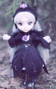 Rating: Safe Score: 0 Tags: 1girl blurry depth_of_field doll dress flower frills hairband lolita_fashion lolita_hairband long_hair long_sleeves looking_at_viewer outdoors solo suigintou water User: admin