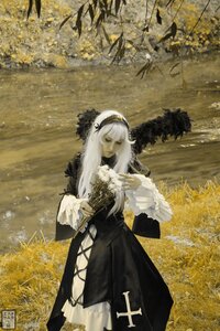 Rating: Safe Score: 0 Tags: 1girl auto_tagged dress field flower hairband long_hair long_sleeves outdoors solo standing suigintou white_hair wide_sleeves User: admin