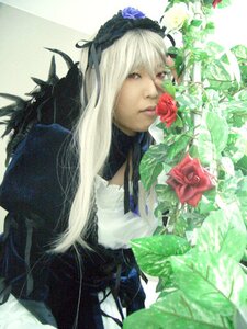 Rating: Safe Score: 0 Tags: 1girl black_dress dress flower lips long_hair red_eyes red_flower red_rose rose solo suigintou upper_body white_hair User: admin