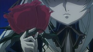 Rating: Safe Score: 0 Tags: 1girl close-up closed_mouth face flower head_out_of_frame holding holding_flower image plant ribbon simple_background solo suigintou User: admin