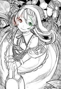Rating: Safe Score: 0 Tags: 1girl bad_id bad_pixiv_id dress frills from_above green_eyes greyscale heterochromia image long_hair looking_at_viewer monochrome neck_ribbon npa_(sirokurokuma) puffy_short_sleeves puffy_sleeves red_eyes ribbon rozen_maiden short_sleeves smile solo spot_color suiseiseki very_long_hair watering_can User: admin
