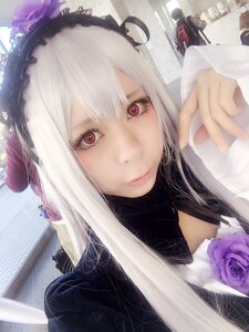 Rating: Safe Score: 0 Tags: 1girl closed_mouth flower long_hair looking_at_viewer purple_flower purple_rose red_eyes rose solo suigintou white_hair User: admin