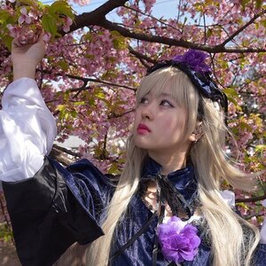 Rating: Safe Score: 0 Tags: 1girl bangs blonde_hair cherry_blossoms earrings flower jewelry lips long_hair realistic solo suigintou tree upper_body User: admin
