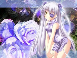 Rating: Safe Score: 0 Tags: 1girl barasuishou bare_shoulders blush china_dress chinese_clothes dragon dress eyepatch flower hair_ornament image imageboard_desourced long_hair looking_at_viewer non-web_source purple_flower rose rozen_maiden shimakaze_(soundz_of_bell) silver_hair solo standing thighs two_side_up very_long_hair white_hair yellow_eyes User: admin
