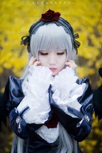 Rating: Safe Score: 0 Tags: 1girl bangs blunt_bangs blurry blurry_background blurry_foreground closed_eyes closed_mouth depth_of_field dress facing_viewer flower frills gothic_lolita hairband lips lolita_fashion long_hair long_sleeves red_flower red_rose rose solo suigintou upper_body User: admin