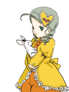 Rating: Safe Score: 0 Tags: 1girl ahoge animal bunny dress drill_hair frills green_eyes green_hair image kanaria long_sleeves solo twin_drills yellow_dress User: admin