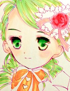 Rating: Safe Score: 0 Tags: 1girl auto_tagged bow closed_mouth face flower green_eyes green_hair hair_ornament image kanaria looking_at_viewer rose solo traditional_media User: admin